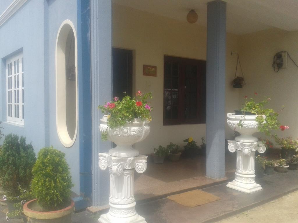 Pedro View Homestay Нувара Елия Екстериор снимка