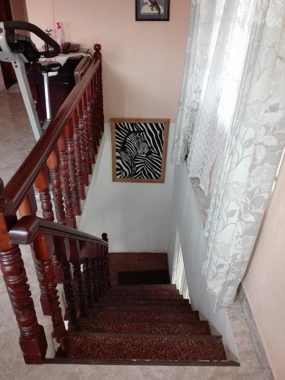 Pedro View Homestay Нувара Елия Екстериор снимка