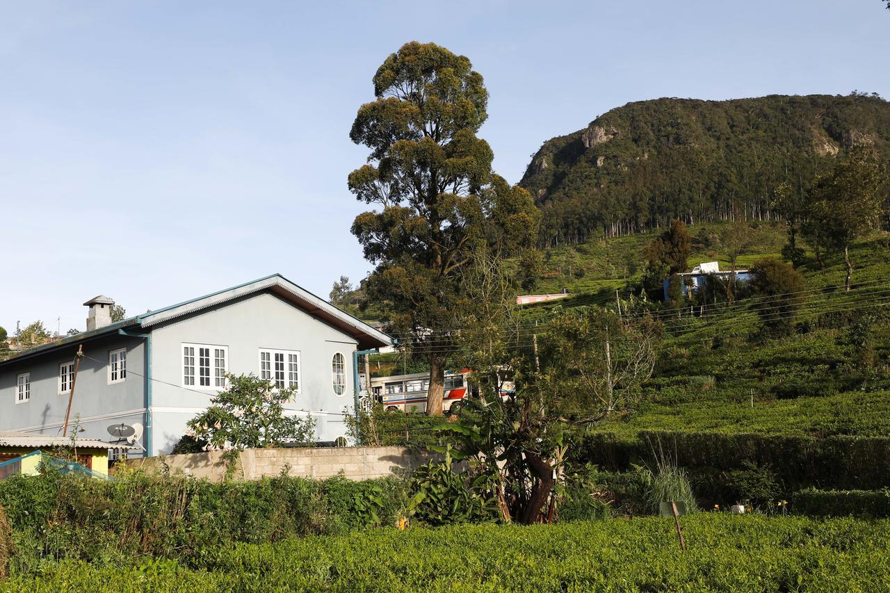 Pedro View Homestay Нувара Елия Екстериор снимка